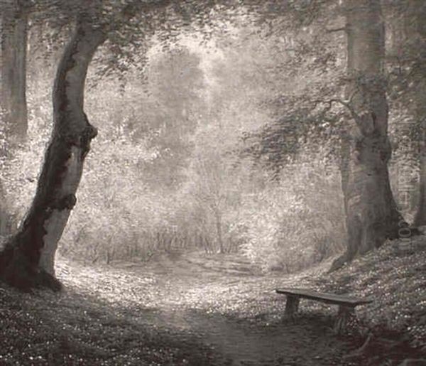Path Through The Woods - view 1
