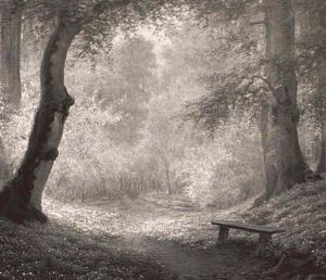 Path Through The Woods Path Through The Woods