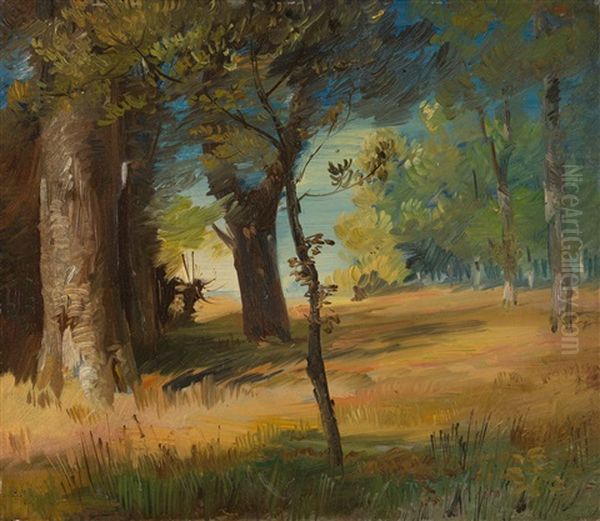 Herbstliche Landschaft - view 1
