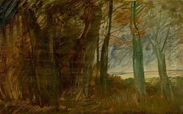 "waldrandlandschaft" - view 1