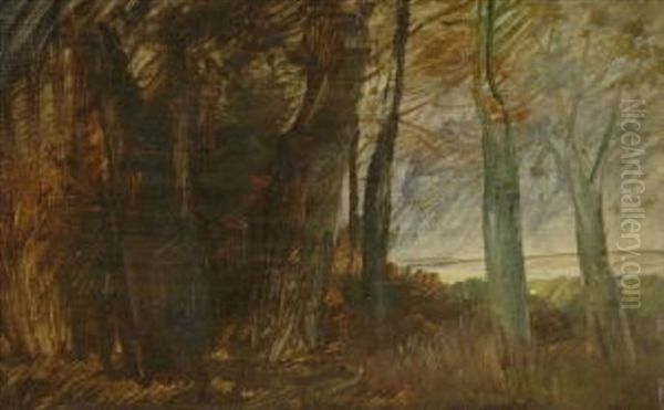 Waldrandlandschaft - view 1