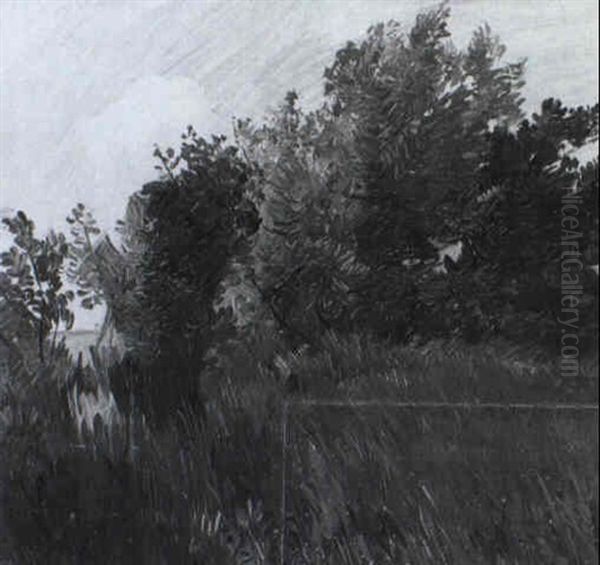 Durchblick Auf Wiesenlandschaft Mit Weide - view 1