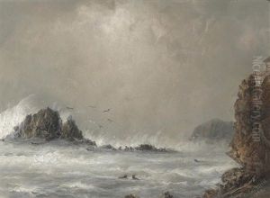 Seal Rock And The Cliff House