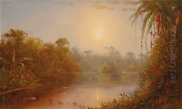 A River In The Tropics - view 1