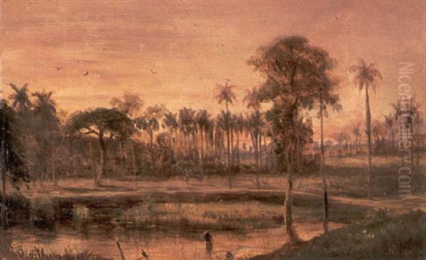 Florida Landscape - view 1