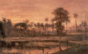 Florida Landscape