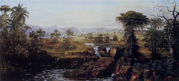 A Tropical Landscape - view 1