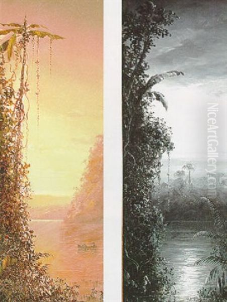 Tropics In Moonlight - view 1