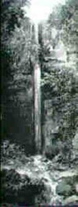Napa Falls