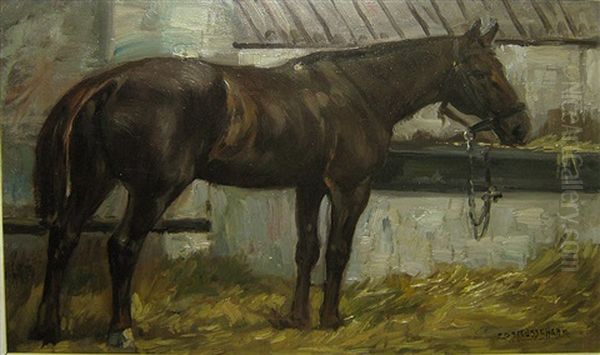 Paard In De Stal - view 1