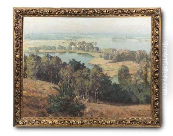 Seenlandschaft Mit Birkenhain - view 1