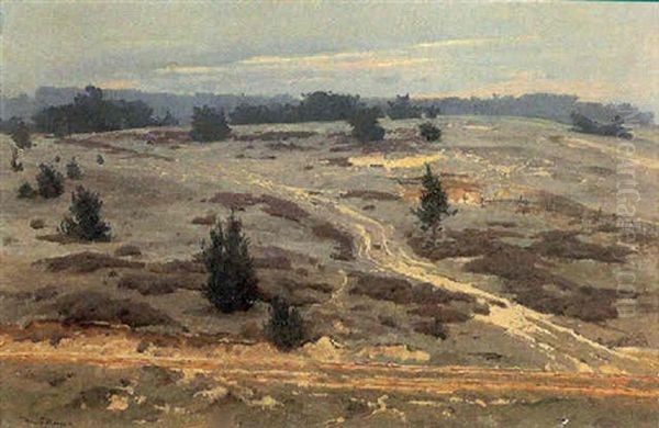 Markische Heide - view 1