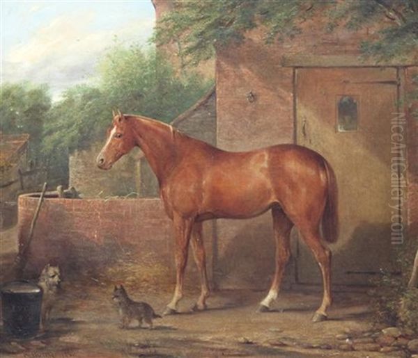 Portrait Of A Chestnut Horse Outside A Stable With Two Terriers - view 1