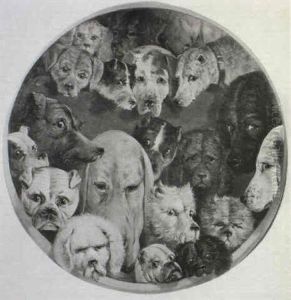 A Chorus Of Dogs by Reuben Bussey