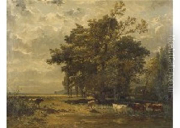 Lumiere Du Soleil - view 1