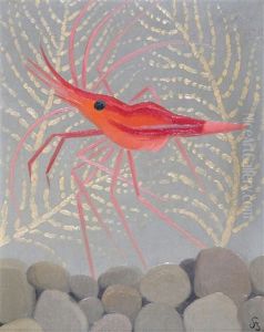 Crevette Rouge De Madere