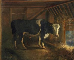 Junger Bulle Im Stall Junger Bulle Im Stall