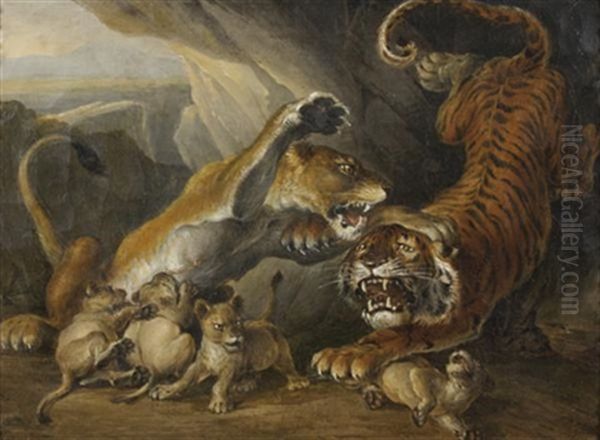 Lionne Protegeant Ses Lionceaux D'un Tigre - view 1
