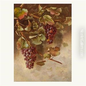 Still Life With Grapes