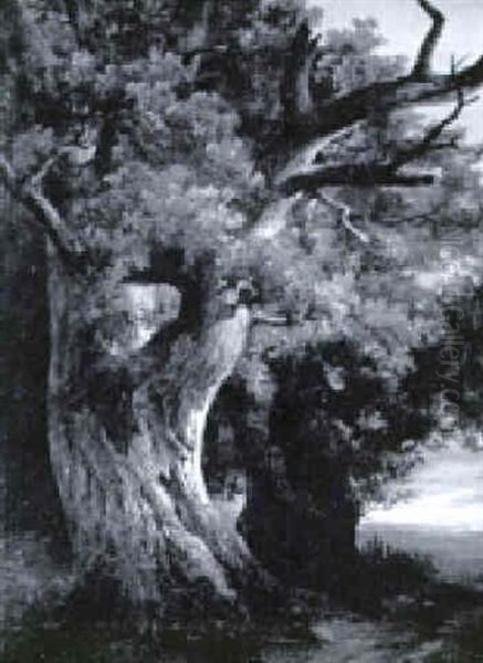 Tausendjaehrige Eiche - view 1