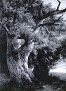 Tausendjaehrige Eiche by Anton Butler