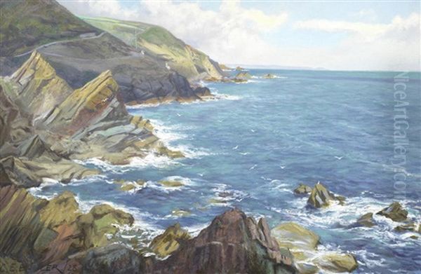 A Rugged Coastline - view 1