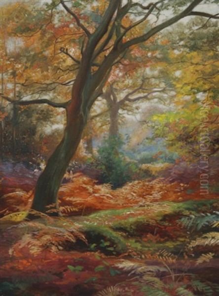 Forest Scene - view 1