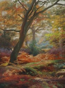 Forest Scene Forest Scene