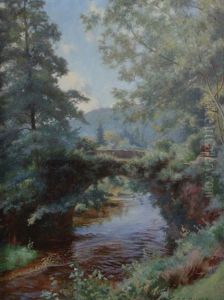 Woodland Stream Woodland Stream
