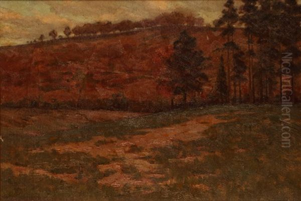 Trees In A Rolling Hills Landscape - view 1
