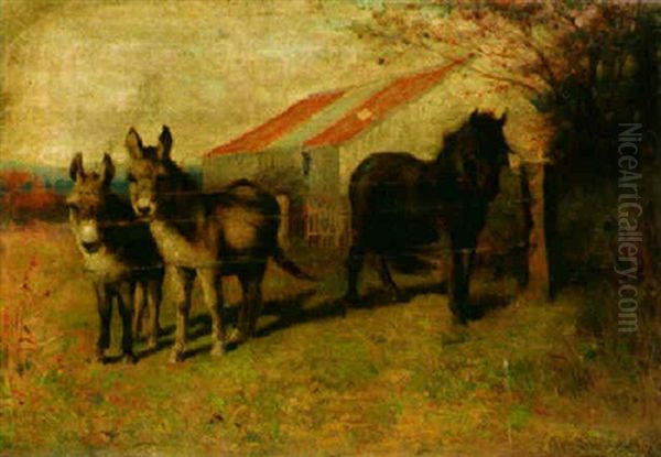 Donkeys And Pony By A Fence - view 1