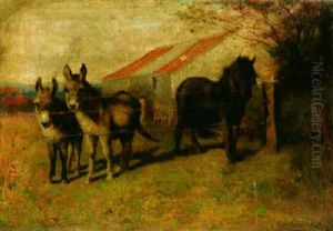 Donkeys And Pony By A Fence