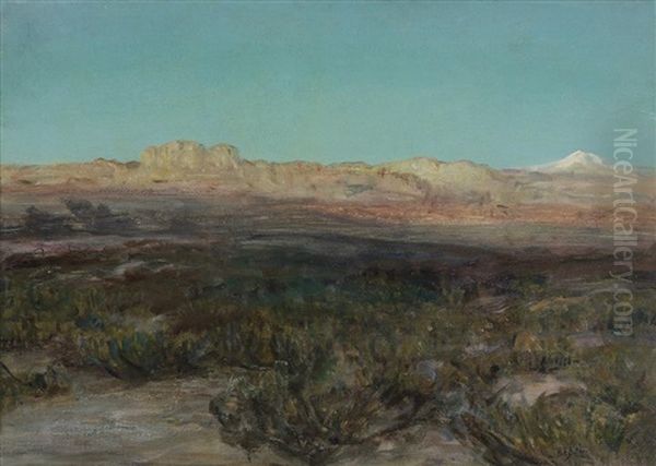 Arizona Sunset - view 1