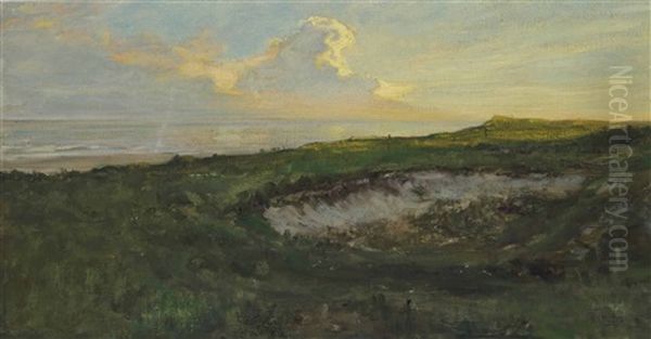 A Wind Hole In The Dune - view 1