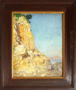 Conglomerate Coast In Sunslight by Howard Russell Butler