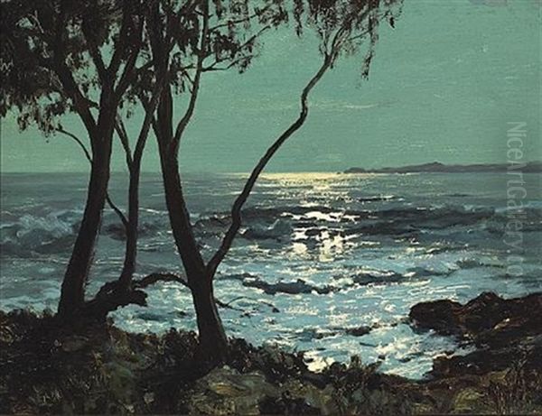 Moon Sheen From Eucalyptus Point - view 1