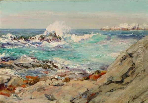 Bird Rocks - Carmel, California - view 1