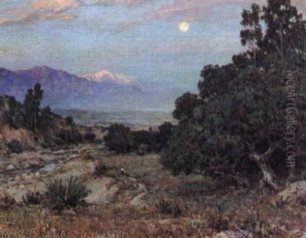 Evening Landscape - view 1
