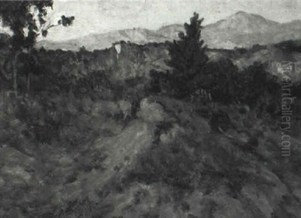 California Landscapes - view 1