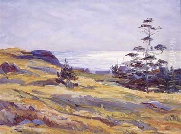 Maine Coastal View - view 1