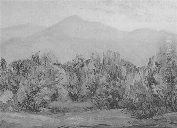 Landscape With Mountains In Distance - view 1