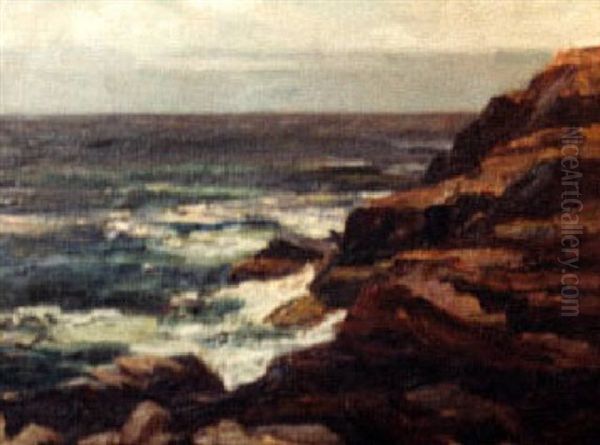 Rocky Coast - view 1