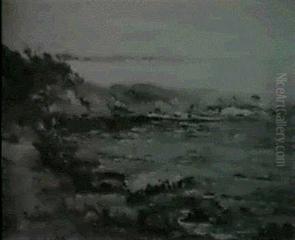 The Cove - view 1