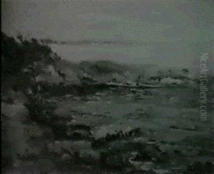 The Cove
