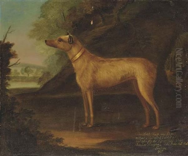 "snap" A Terrier Bitch In A Landscape - view 1