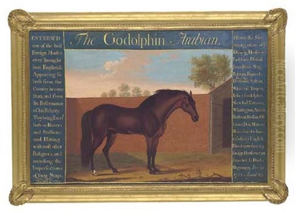 The "godolphin" Arabian - view 1