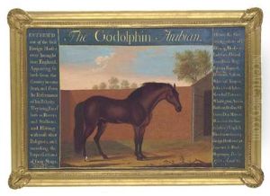 The "godolphin" Arabian The "godolphin" Arabian