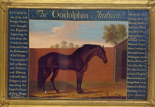 The "godolphin Arabian" - view 1