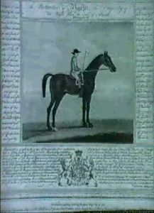 Starling, A Grey Racehorse With Jockey Up; Bajazet, A Bay Racehorse With Jockey Up; Carlisle, A Chesnut Racehorse by Thomas Butler