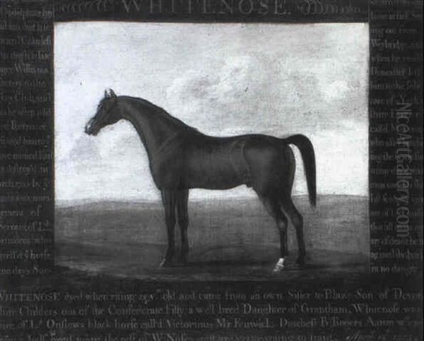 The Earl Of Portmore's Celebrated Bay Stallion Whitenose - view 1
